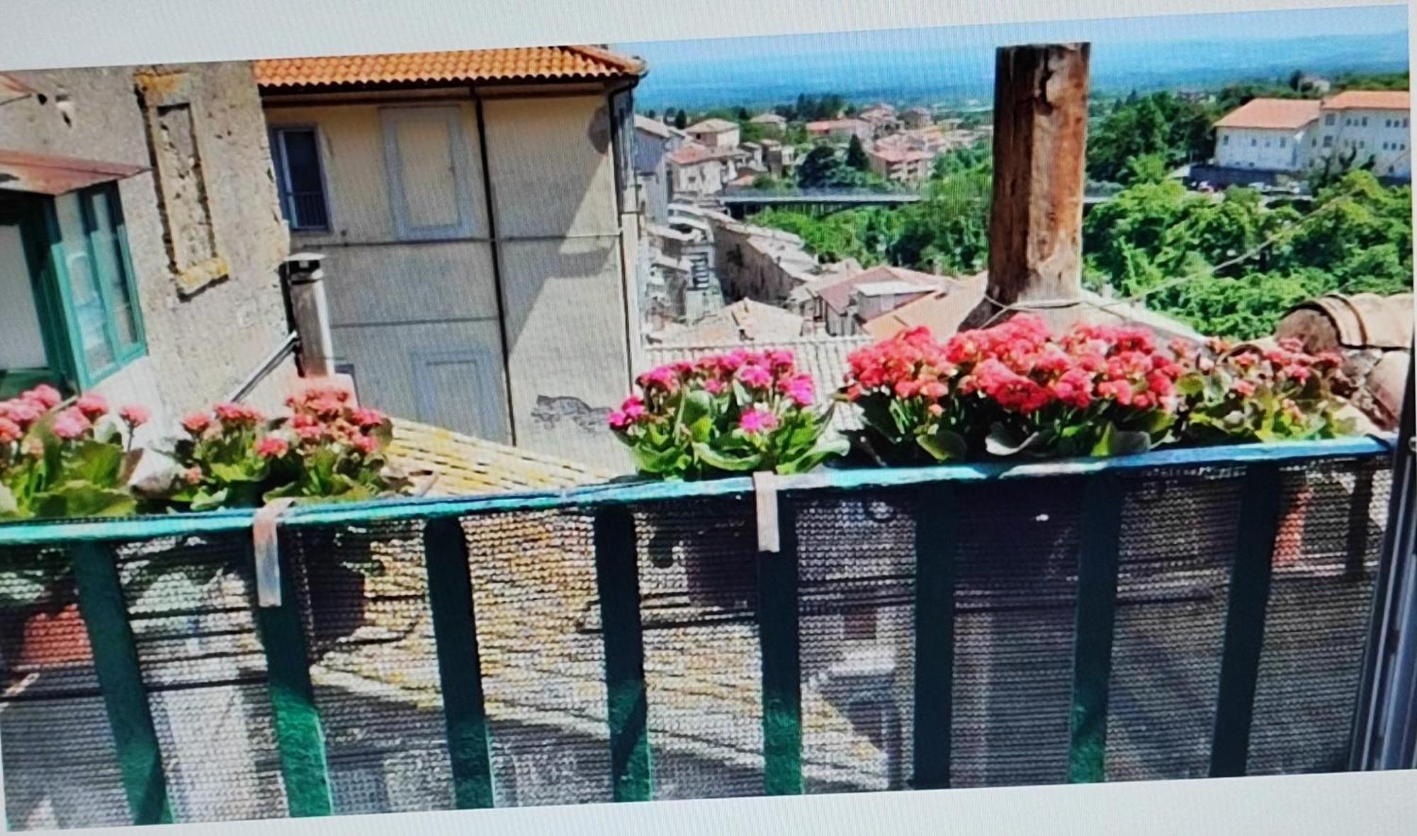 Appartamento La Casa Del Sole Caprarola Esterno foto